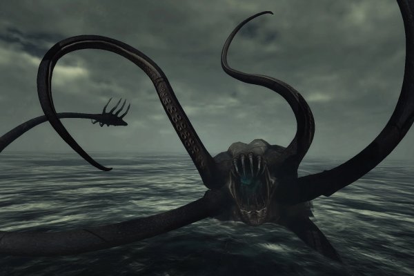 Kraken tor