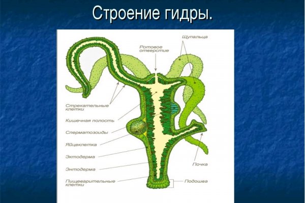 Магазин мефедрона