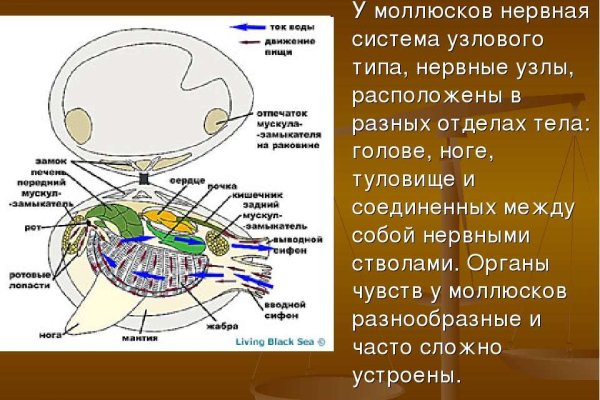 Купить наркотики